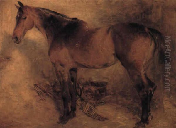 Horse In A Loose Box Oil Painting by William Huggins