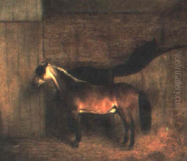 Bay Pony In A Stable Oil Painting by William Huggins