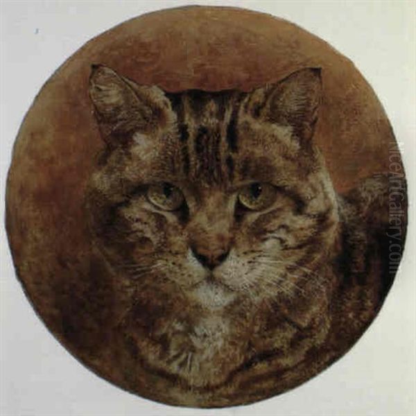 Head Of Tabby Cat Oil Painting by William Huggins