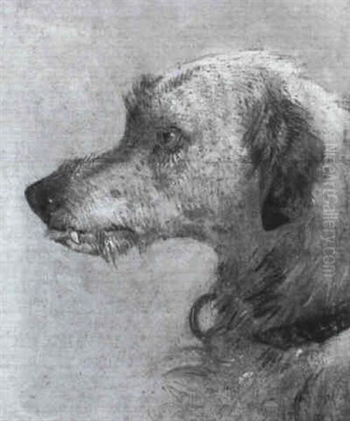 Study Of The Head Of A Wolfhound Oil Painting by William Huggins