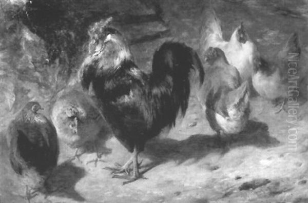 Cockerel And Chickens In A Farmyard Oil Painting by William Huggins