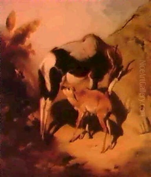 An Oryx And Her Calf In Tropi-cal Landscape. Oil Painting by William Huggins