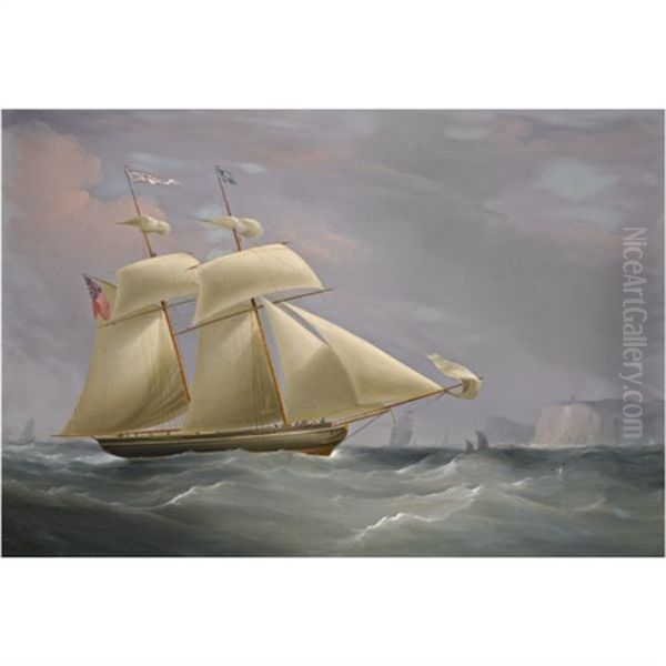 The Topsail Schooner 