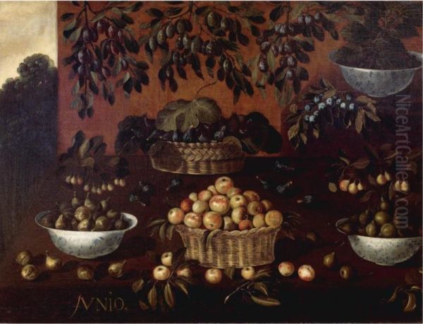 An Allegory Of The Month Of June: Still Life Of Apples, Plums, Figs And Blackberries In Wicker Baskets And Porcelain Bowls, Arranged On A Stepped Ledge, With Branches Of Plums Suspended From Above Oil Painting by Francisco Barrera