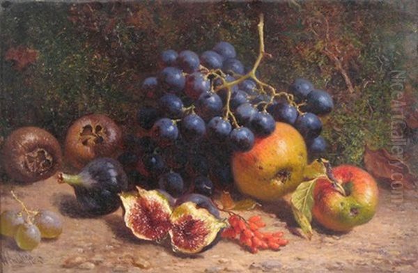 Still Life Of Grapes, Apples, Figs And Medlars Oil Painting by William Hughes