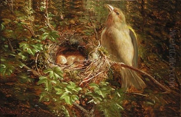 Chaffinch Nesting (+ Green Finch Guarding The Nest; Pair) Oil Painting by William Hughes