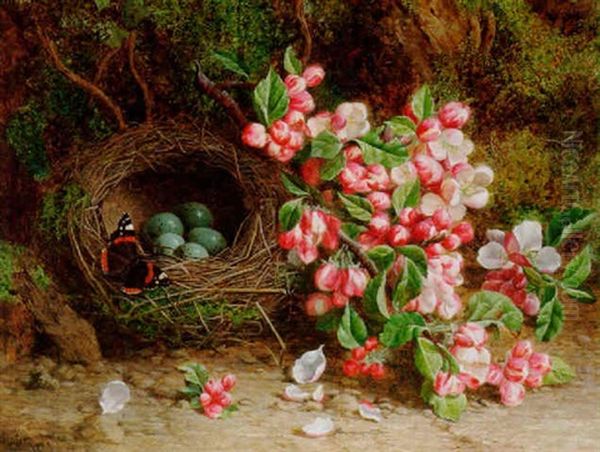 Still Life With Blossom, A Bird's Nest And A Butterfly Oil Painting by William Hughes