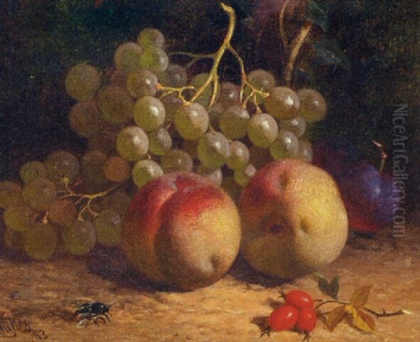 Still Life Of Peaches, Grapes, Plums, Rosehips And A Fly, On A Mossy Bank Oil Painting by William Hughes