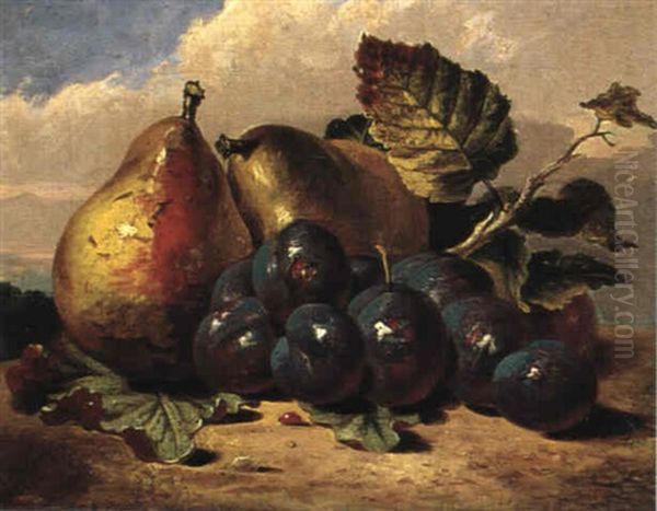 Stilleben Med Plommon Och Peron Oil Painting by William Hughes