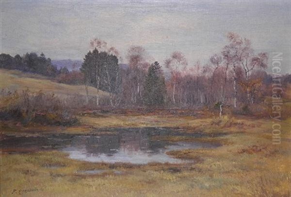 Paysage De Campagne A La Marre Oil Painting by Fritz Huguenin