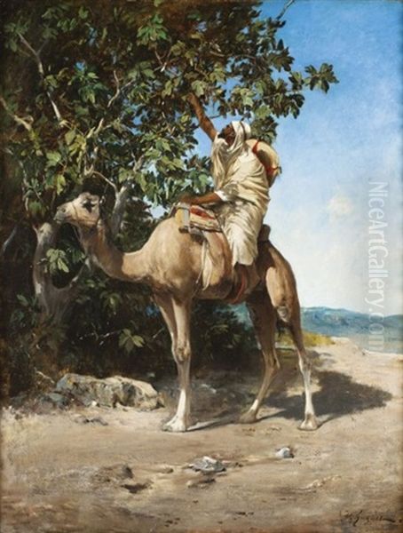 Chamelier Cueillant Des Figues Oil Painting by Victor Pierre Huguet