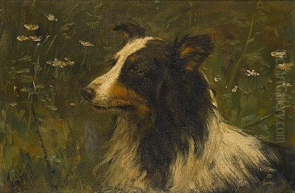 Portrait Of A Rough Collie Oil Painting by John Frederik Hulk the Younger