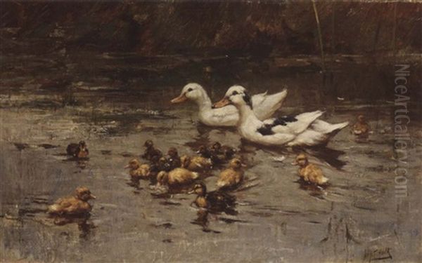 Ducks Having A Swim Oil Painting by John Frederik Hulk the Younger