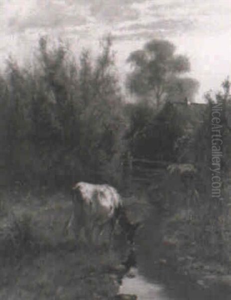 Cattle In A Stream Oil Painting by William Frederick Hulk