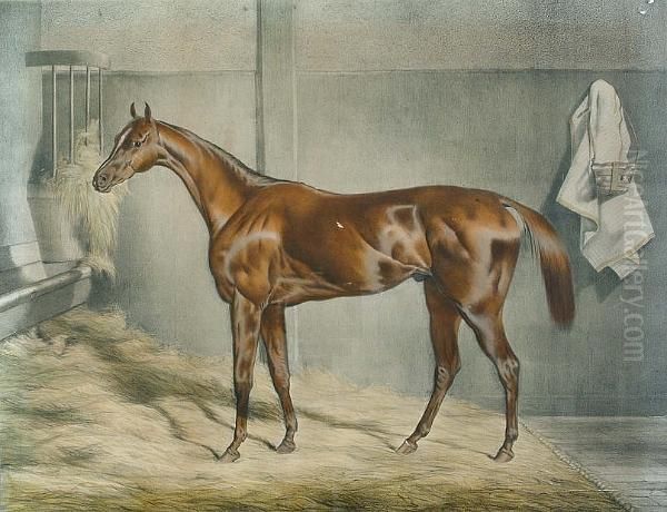 Sultan, Winner Of The Cambridgeshire Stakes At Newmarket Oil Painting by Thomas Barrett