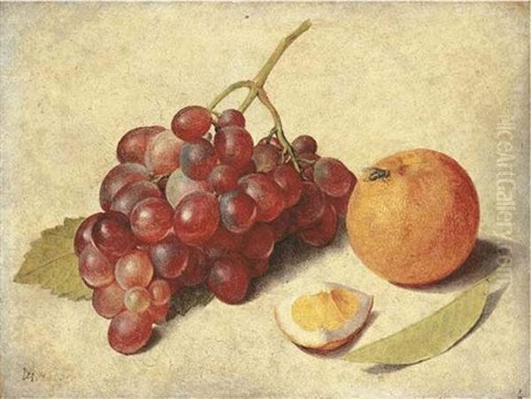 A Bunch Of Grapes On The Vine, An Orange Segment And An Orange, With A  Leaf And A Fly Oil Painting by Jacob van Hulsdonck