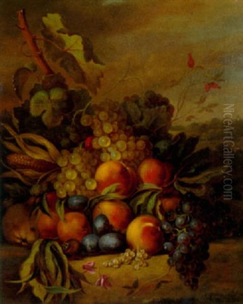 Still Life With Grapes, Peaches And Plums In A Landscape Oil Painting by Cornelis Johannes van Hulsteyn