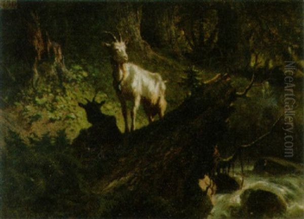 Wildes Waldstuck Mit Zwei Ziegen Oil Painting by Charles (Jean-Ch. Ferdinand) Humbert