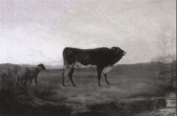 Stier Und Schaf Auf Der Weide Oil Painting by Charles (Jean-Ch. Ferdinand) Humbert