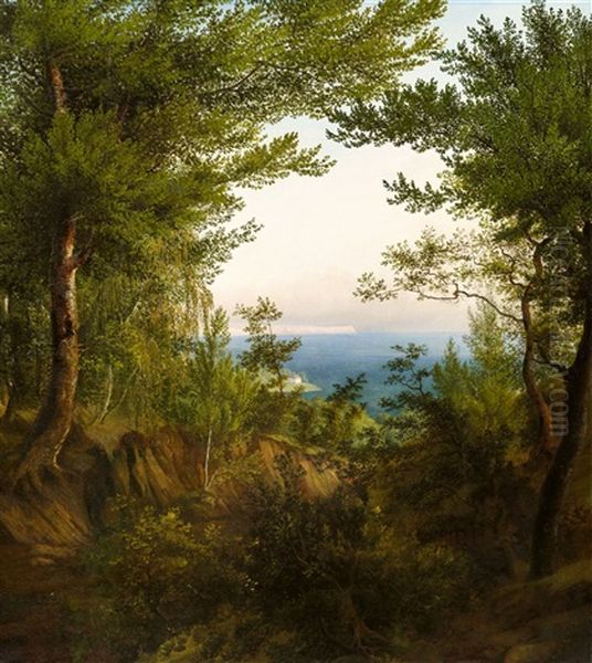 Landschaft Auf Rugen Mit Blick Auf Die Kreidefelsen Arkonas Oil Painting by Carl Maria Nicolaus Hummel