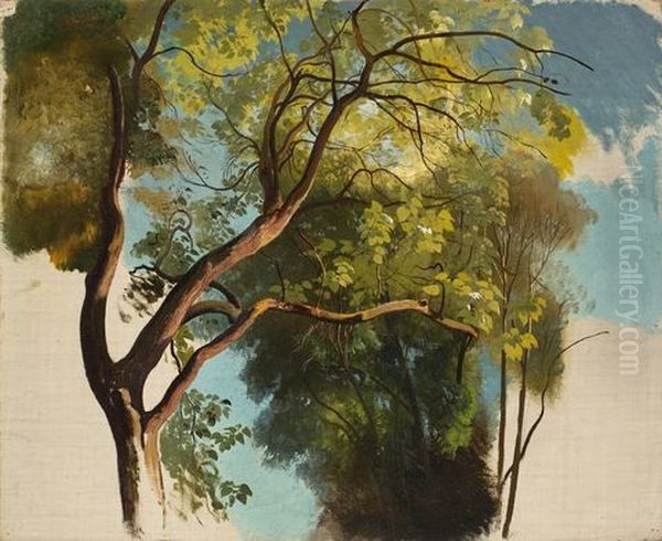 Tree Study From The Park Of Villa Carlotta Oil Painting by Carl Maria Nicolaus Hummel