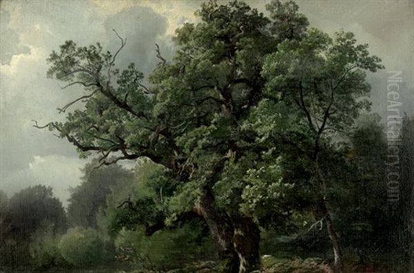 Knorrige Eiche Im Reinhardswald Bei Sababurg Oil Painting by Carl Maria Nicolaus Hummel