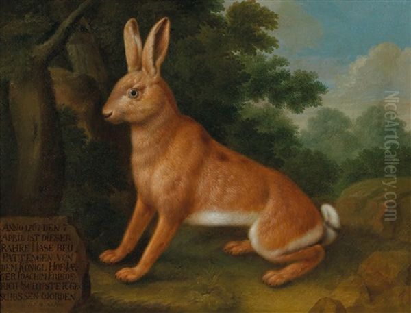 A Hare Oil Painting by Johann Conrad Justus Hunneman