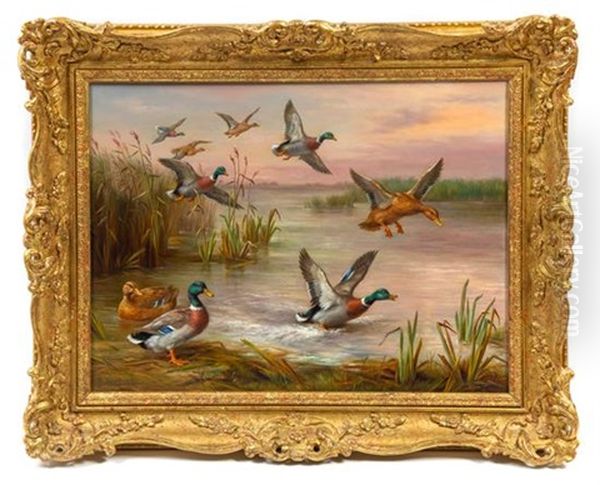 Ducks In Flight Oil Painting by Edgar Hunt