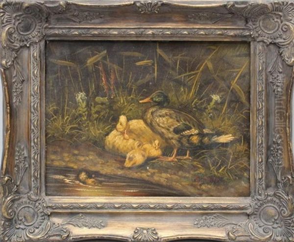 Ducks Oil Painting by Edgar Hunt