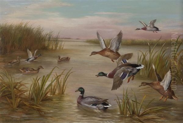 Ducks In Flight Oil Painting by Edgar Hunt