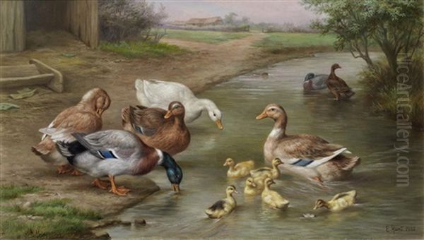 Learning To Swim Oil Painting by Edgar Hunt