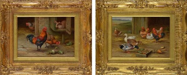 Farmyard Scenes With Poultry, Ducks And A Rabbit Hutch Oil Painting by Edgar Hunt