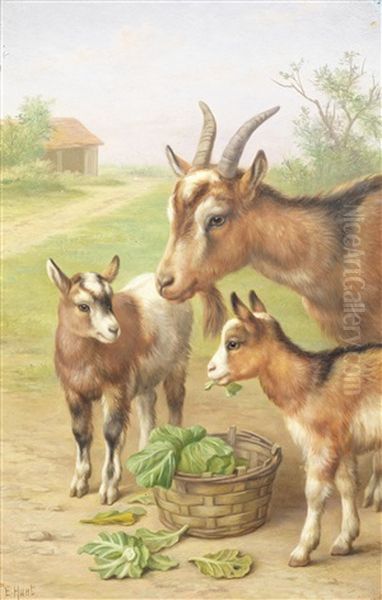 Goats In A Farmyard Oil Painting by Edgar Hunt