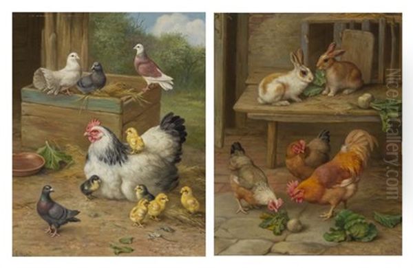 Cockerels And Pigeons And Roosters And Rabbits (pair) Oil Painting by Edgar Hunt