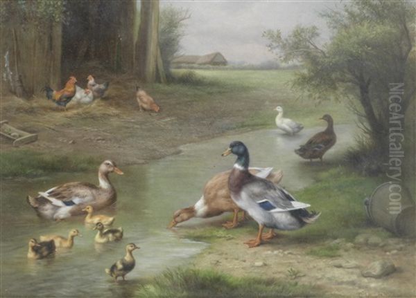 Ducks & Ducklings By A Stream (+ Chickens And Doves In A Farmyard, 1926; Pair) Oil Painting by Edgar Hunt