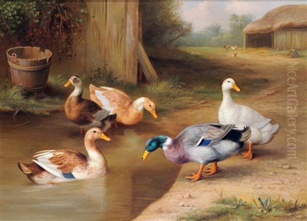 A Mallard And Ducks By A Pond Oil Painting by Edgar Hunt