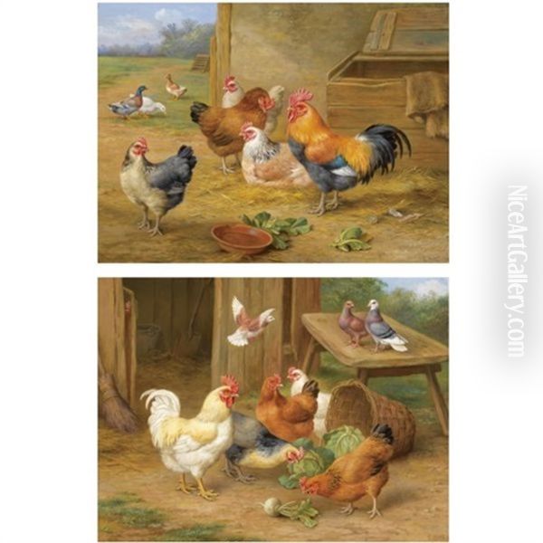 Cockerel And Hen (+ Chickens And Pigeons; Pair) Oil Painting by Edgar Hunt