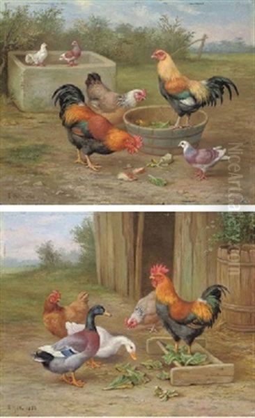 Chickens And Doves (+ Chickens And Ducks; 2 Works) Oil Painting by Edgar Hunt