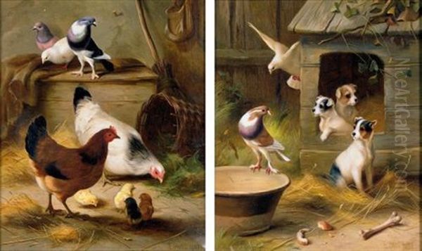 Pigeons And Puppies (+ Pigeons And Chickens; Pair) Oil Painting by Edgar Hunt