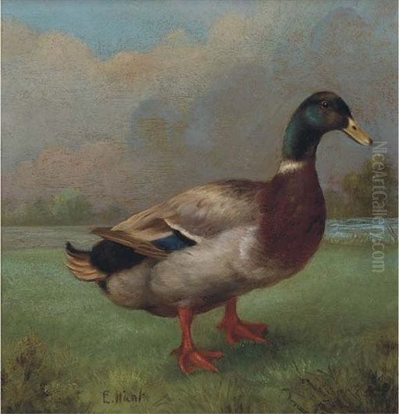 Mallard In A Landscape Oil Painting by Edgar Hunt