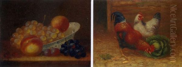 Poultry Study Oil Painting by Edgar Hunt