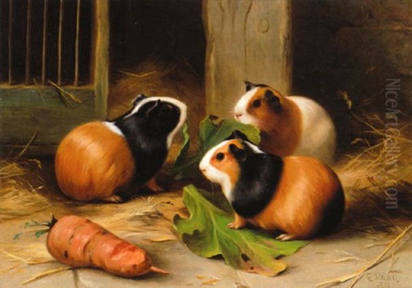 Three Guinea Pigs Oil Painting by Edgar Hunt