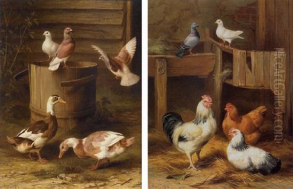 A Barnyard Scene With Chickens And Pigeons Oil Painting by Edgar Hunt