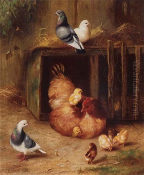 A Hen With Chicks And Pigeons By A Hutch Oil Painting by Edgar Hunt