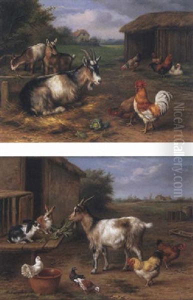 Farmyard Scene With Goats And Chickens Oil Painting by Edgar Hunt