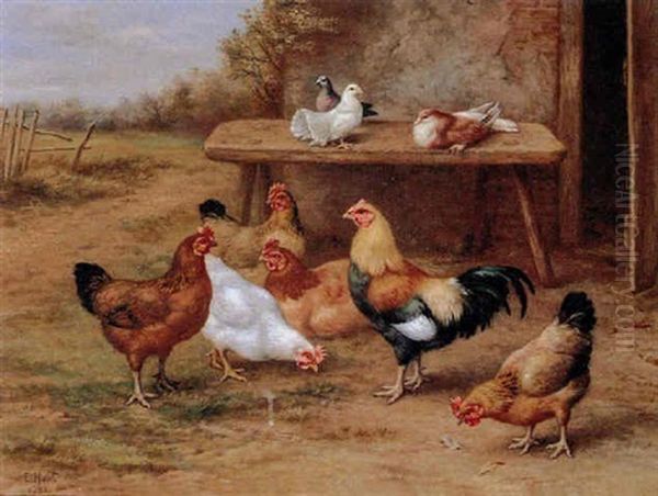 Poultry And Pigeons Oil Painting by Edgar Hunt