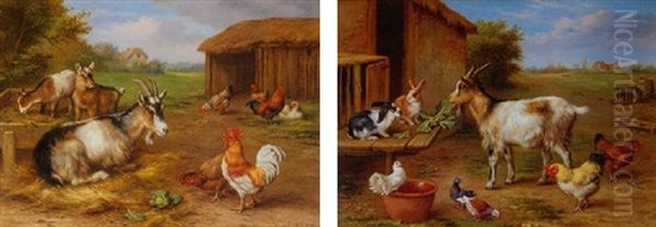 A Farmyard Scene With Goats And Chickens Oil Painting by Edgar Hunt