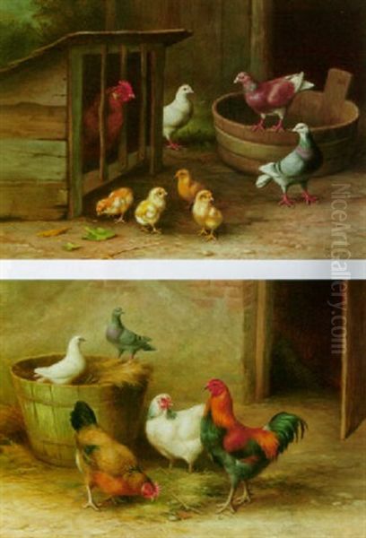 Pigeons And Chicks Oil Painting by Edgar Hunt