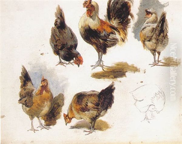 Cockerells Oil Painting by Edgar Hunt