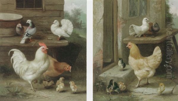 A Cockerel, Hen And Chicks With Pigeons Oil Painting by Edgar Hunt